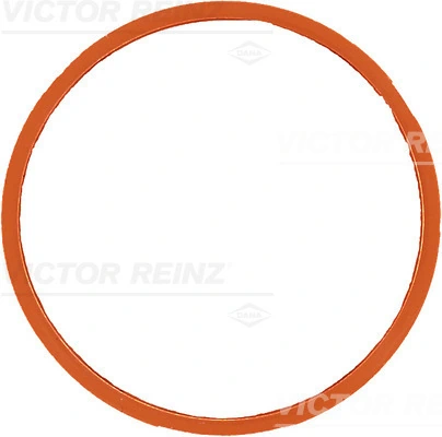 Gasket, intake manifold